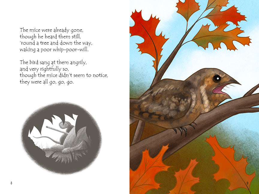 Frog: Into the Skies, Book Seven