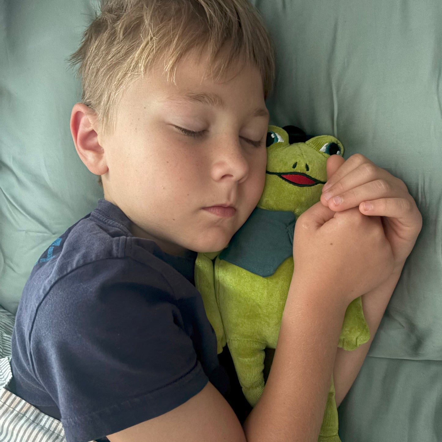 Frog: Discovers the World, Book One & Organic Cotton Frog Plushie