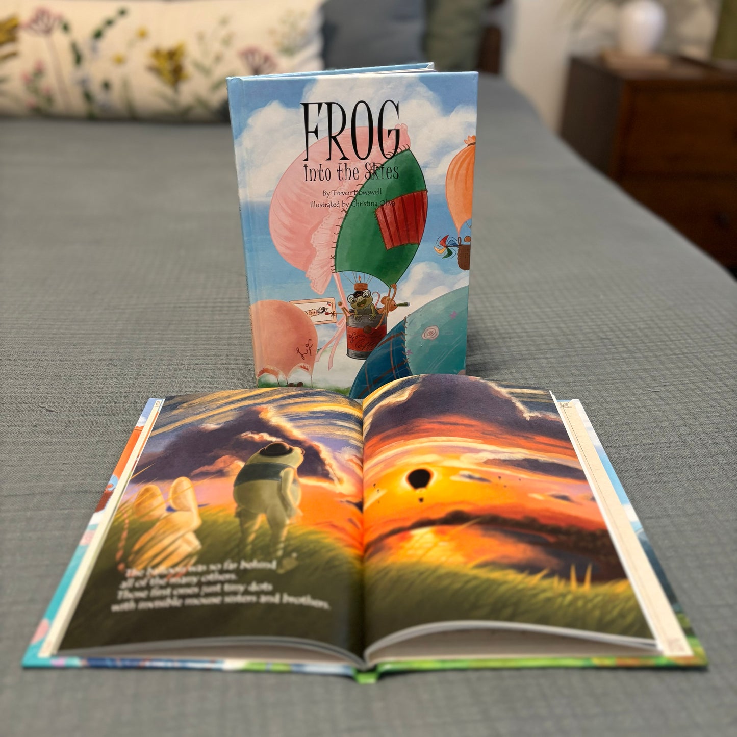 Frog: Into the Skies, Book Seven